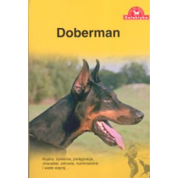 Doberman Kupno, żywienie, pielęgnacja, charakter, zdrowie, rozmnażanie i wiele więcej...