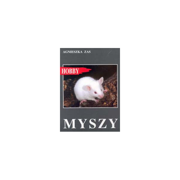 Myszy