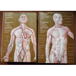 Human Anatomy t. 1-2