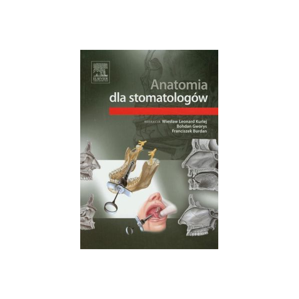 Anatomia dla stomatologów