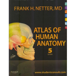 Atlas of Human Anatomy Netter 5th edition