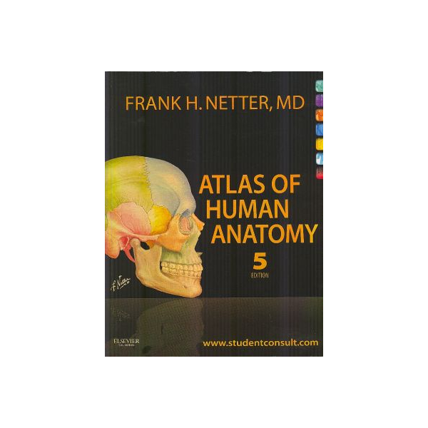 Atlas of Human Anatomy Netter 5th edition