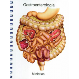 Gastroenterologia Miniatlas
