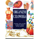 Organizm człowieka Zrozumiały i pełny przewodnik po budowie i funkcjach ludzkiego organizmu