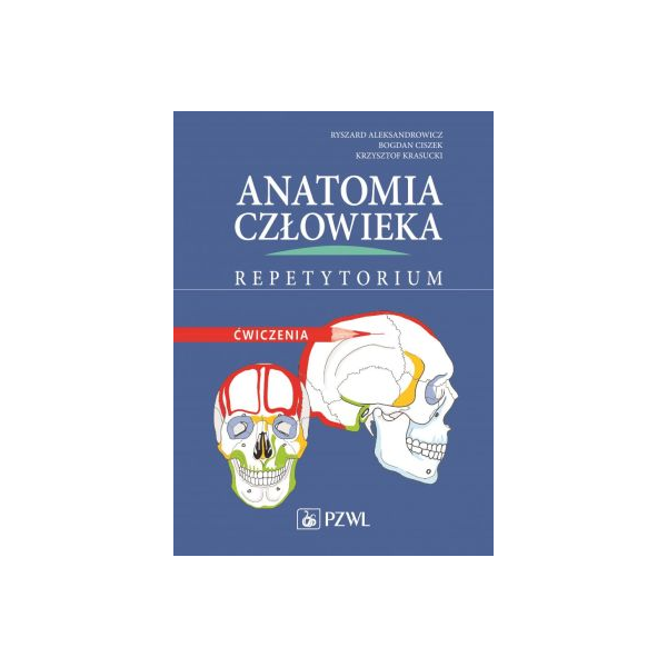 Anatomia człowieka. Repetytorium
Ćwiczenia
