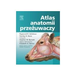 Atlas antomii przeżuwaczy
