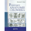 Podstawy anatomii człowieka