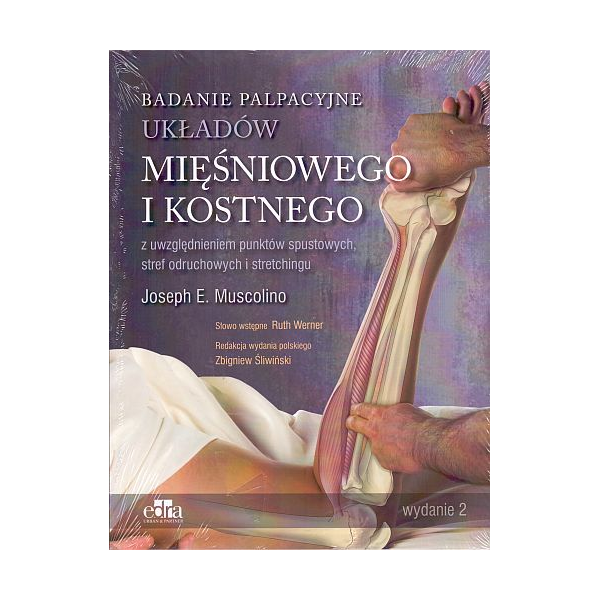 Badanie palpacyjne układów mięśniowego i kostnego z uwzględnieniem punktów spustowych, stref odruchowych i stretchingu