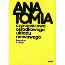 Anatomia czynnościowa ośrodkowego układu nerwowego
