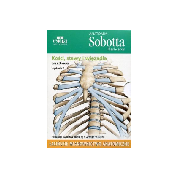 Anatomia Sobotta flashcards Kości, stawy, więzadła
mianownictwo Łacińskie
