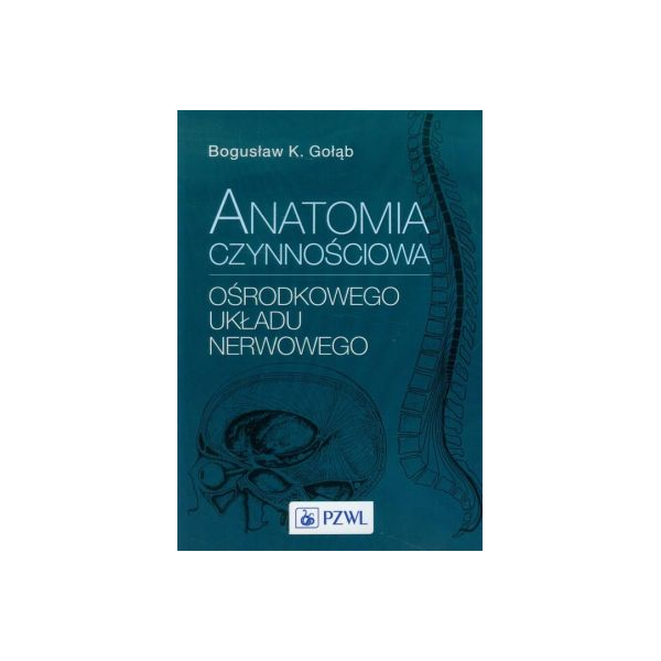 Anatomia czynnościowa ośrodkowego układu nerwowego