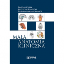 Mała anatomia kliniczna