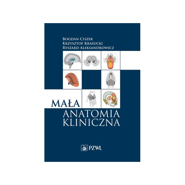 Mała anatomia kliniczna