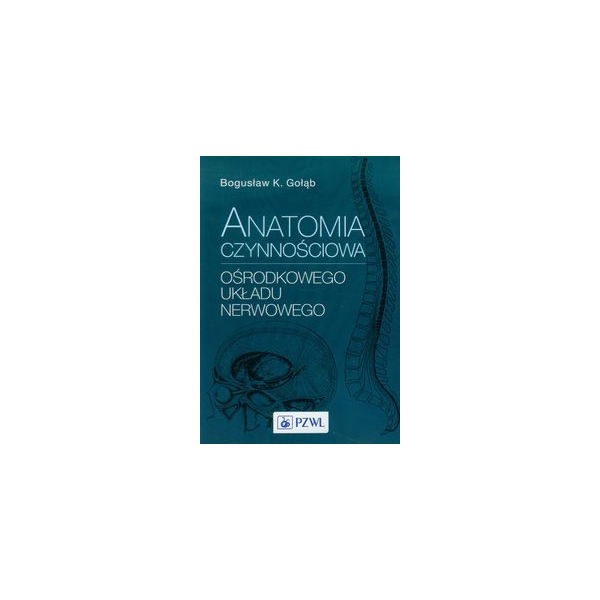 Anatomia czynnościowa ośrodkowego układu nerwowego