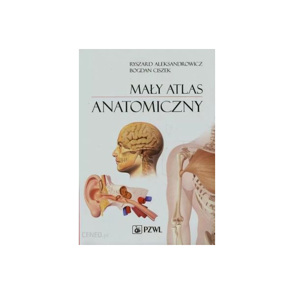 Mały atlas anatomiczny