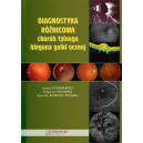 Diagnostyka różnicowa chorób tylnego bieguna gałki ocznej