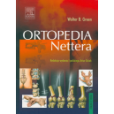 Ortopedia Nettera