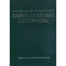 Zarys anatomii człowieka