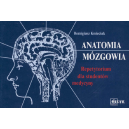 Anatomia mózgowia Repetytorium dla studentów medycyny