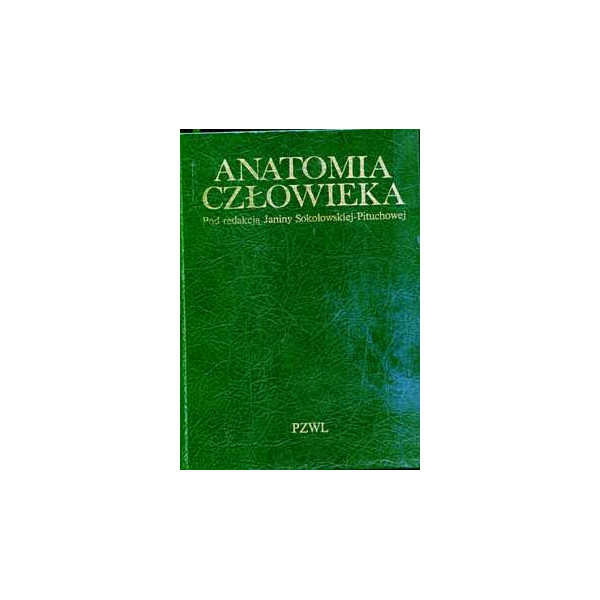 Anatomia człowieka Podręcznik dla studentów medycyny