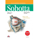 Atlas anatomii człowieka Sobotta t.3 Głowa szyja układ nerwowy wersja ang.
