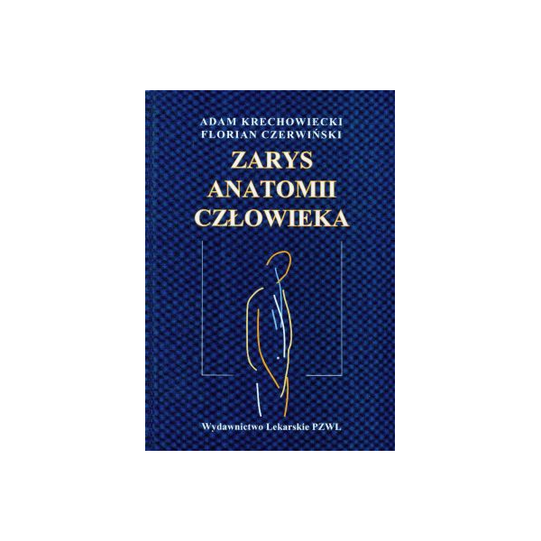 Zarys anatomii człowieka