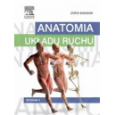 Anatomia układu ruchu