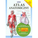 Atlas anatomiczny