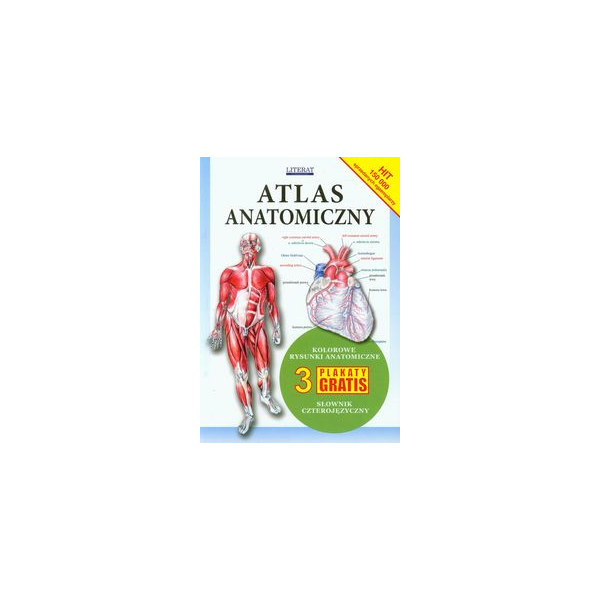 Atlas anatomiczny