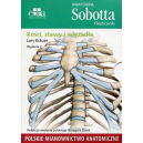 Anatomia Sobotta Flashcards KOŚCI, STAWY I WIĘZADŁA (pol)
