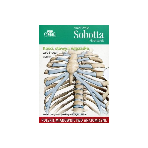 Anatomia Sobotta Flashcards KOŚCI, STAWY I WIĘZADŁA (pol)