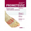 Prometeusz Atlas anatomii człowieka t.1 ang/pol 
 Anatomia ogólna i układ mięśniowo-szkieletowy