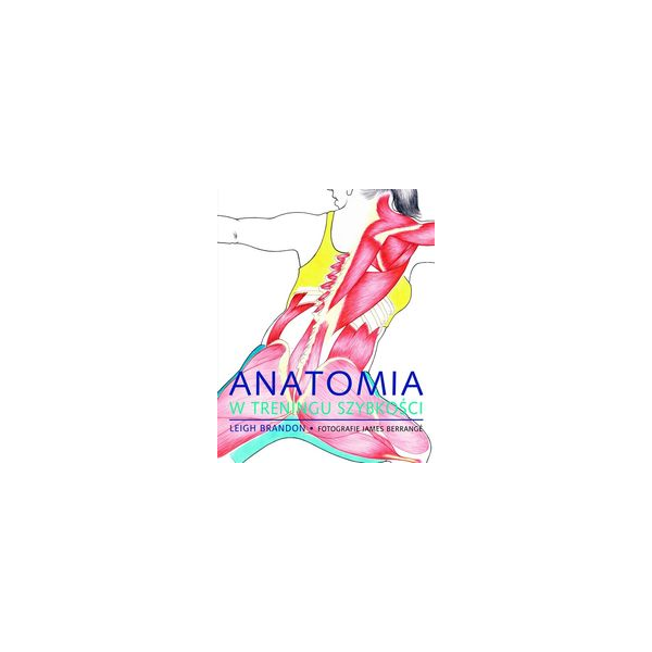 Anatomia w treningu szybkości