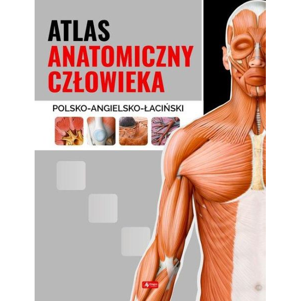 Atlas anatomiczny człowieka...