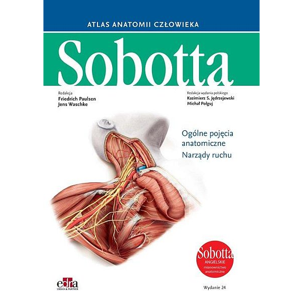 Atlas anatomii czlowieka Ogólne pojęcia anatomiczne Narządy ruchu angielskie mianownictwo anatomiczne