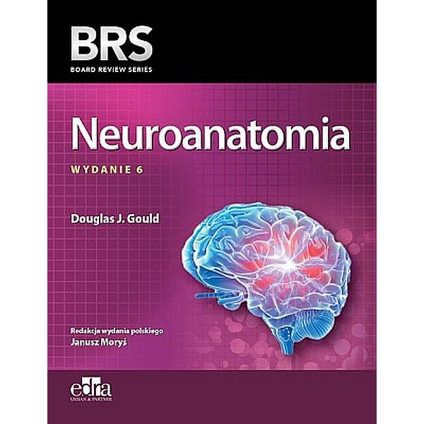 Neuroanatomia