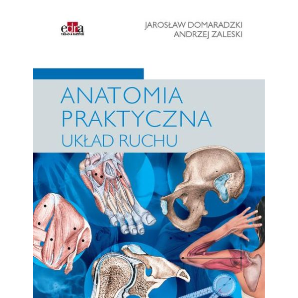 Anatomia praktyczna układu...