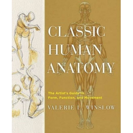 Classic human anatomy Rhe...