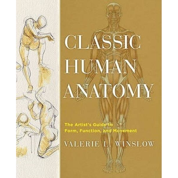 Classic human anatomy Rhe...