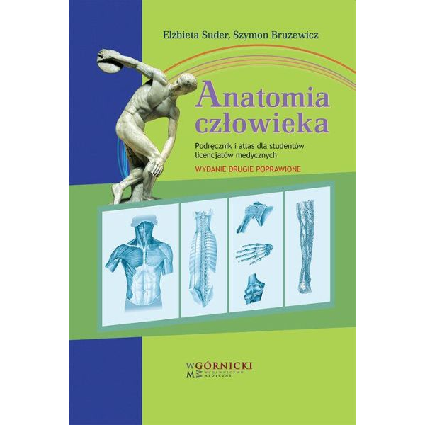 Anatomia człowieka...