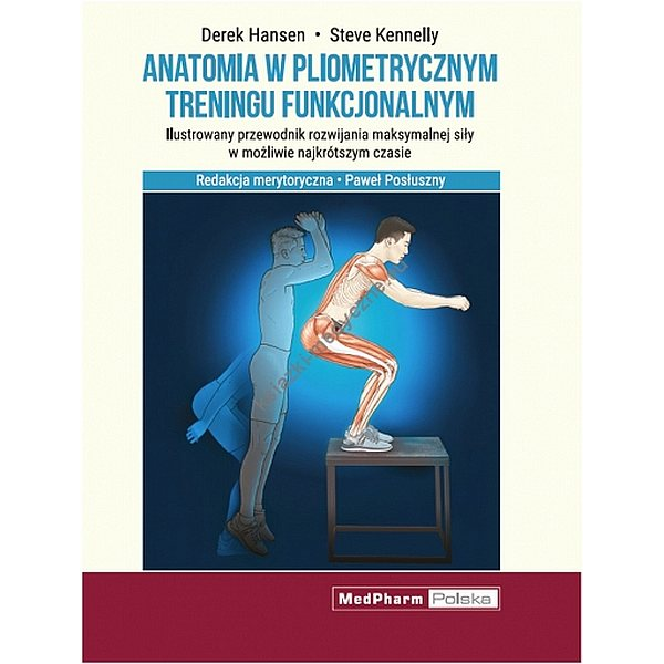 Anatomia w pliometrycznym...