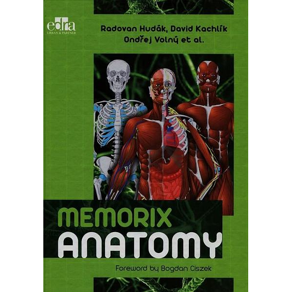 Memorix anatomy