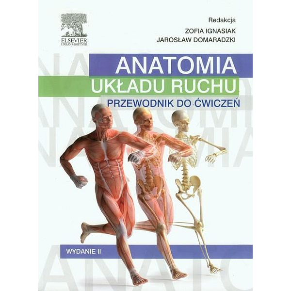 Anatomia układu ruchu