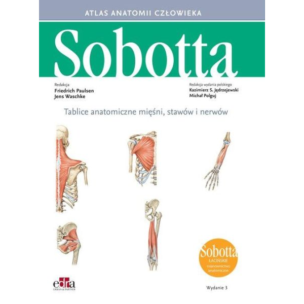 Tablice anatomiczne do atlasu Sobotta mian.angielskie
Tablice anatomiczne z wykazem mięśni, stawów i nerwów
mian. łaci Tablice anatomiczne do atlasu Sobotta mian.angielskie
Tablice anatomiczne z wykazem mięśni, stawów i nerwów
mian. łaci