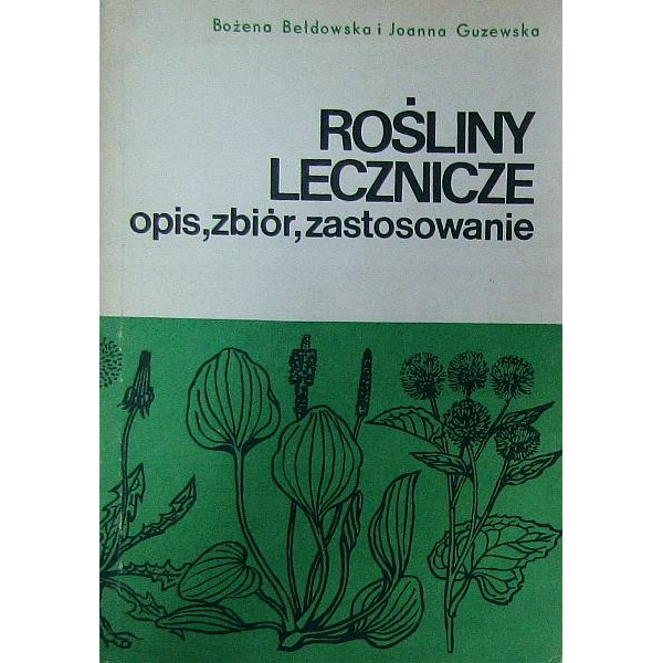 Rośliny lecznicze opis, zbiór, zastosowanie