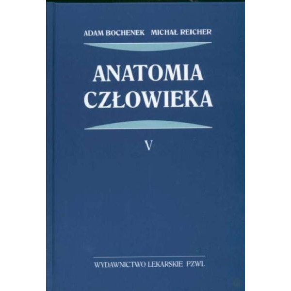 Anatomia człowieka t. 5...
