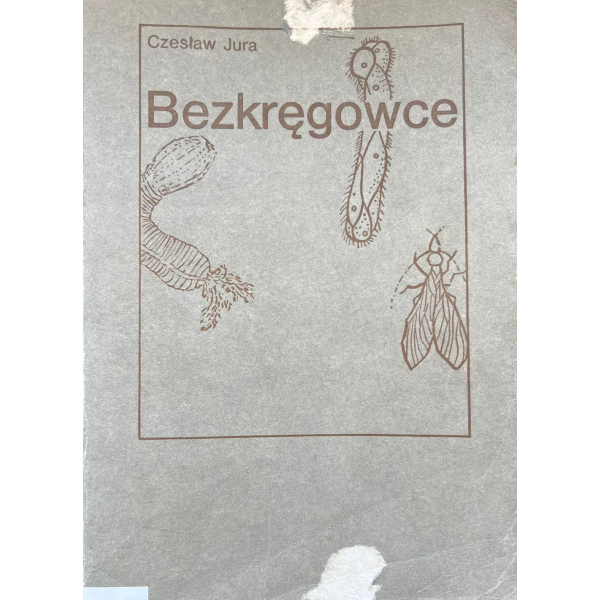 Bezkręgowce Jura