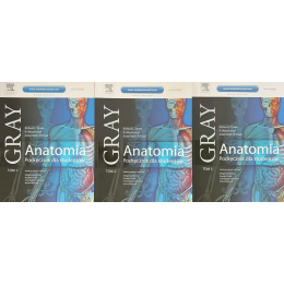 Anatomia Gray Podręcznik...