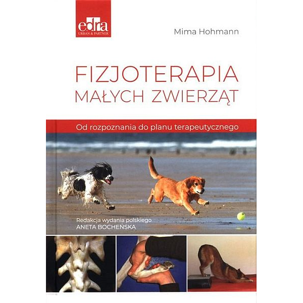 Fizjoterapia małych zwierząt od rozpoznawania do planu terapeutycznego