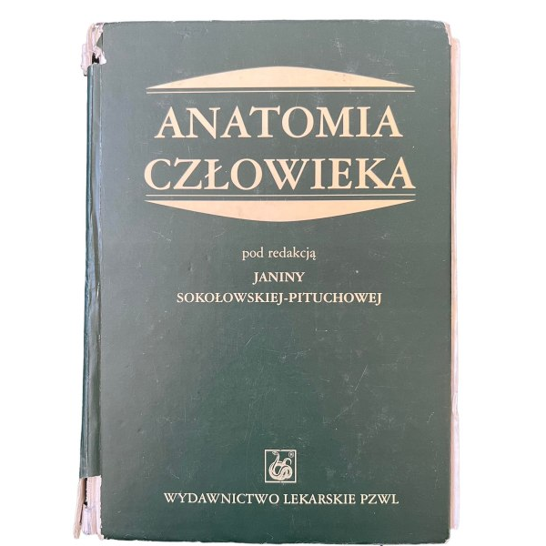 Anatomia człowieka